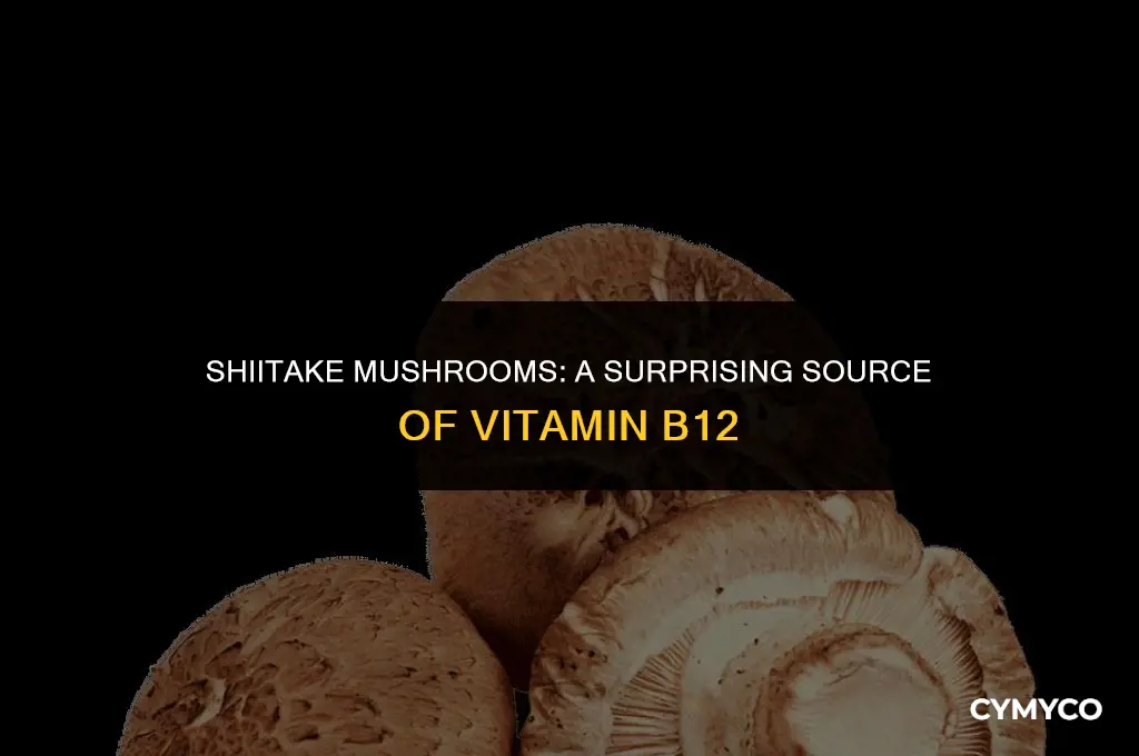 how much b12 in shiitake mushrooms