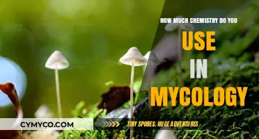 Unveiling Chemistry's Role in Mycology: A Fungal Science Exploration