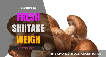 Exploring the Weight of Fresh Shiitake Mushrooms: A Comprehensive Guide