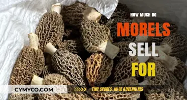 Exploring Morel Mushroom Market Prices: A Comprehensive Guide