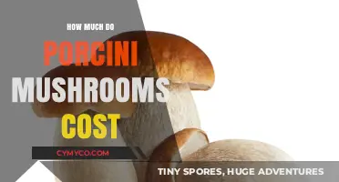Exploring the Price of Porcini Mushrooms: A Comprehensive Guide