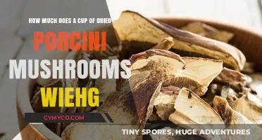 Exploring the Weight of Dried Porcini Mushrooms: A Culinary Guide