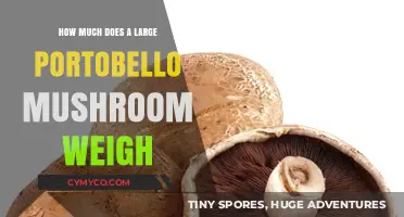 Exploring the Heft of Gourmet Mushrooms: A Portobello's Weight