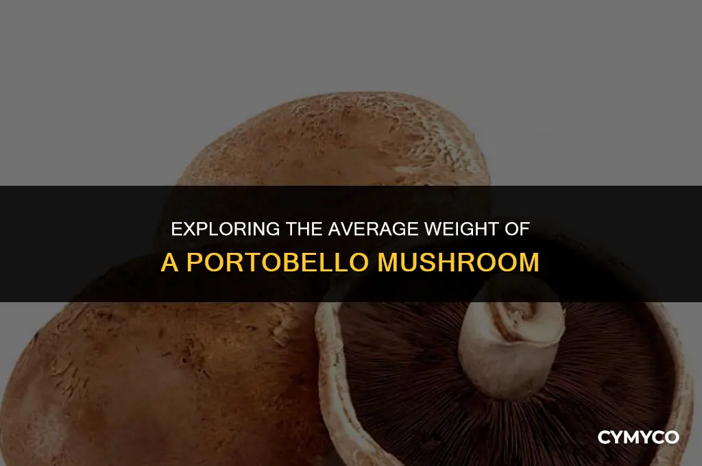 how much does a portobello weigh