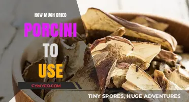 Elevate Your Dishes: The Perfect Amount of Dried Porcini to Use
