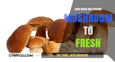 From Dry to Fresh: The Ultimate Porcini Mushroom Conversion Guide