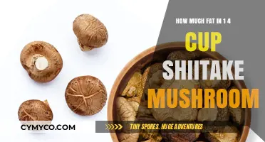 Exploring the Nutritional Profile of Shiitake Mushrooms: A Closer Look at Fat Content