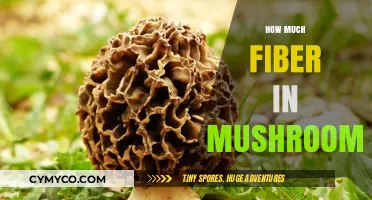 Mushrooms' Fiber Content: Unveiling Their Nutritional Benefits and Digestive Impact