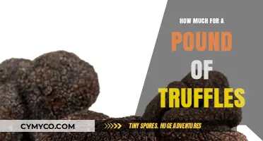 Truffle Treasures: Unveiling the Cost of Gourmet Delights