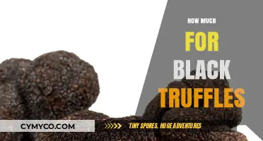 Decoding the Cost of Culinary Luxury: A Guide to Black Truffle Pricing