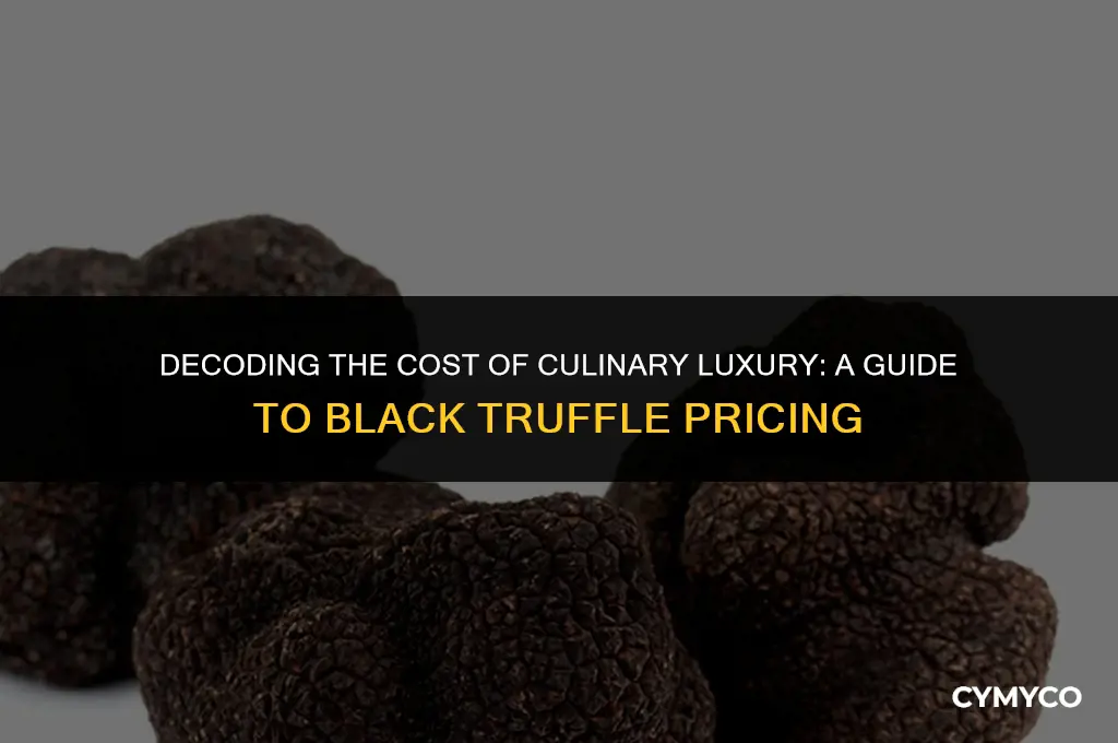 how much for black truffles