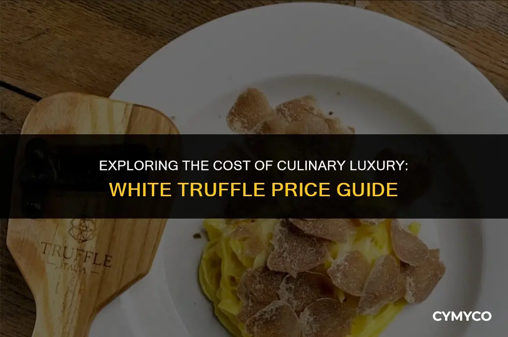 how much for white truffle