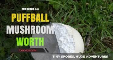 Exploring the Value of Puffball Mushrooms: A Comprehensive Guide