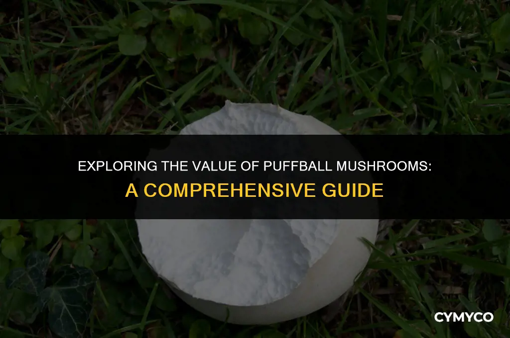 how much is a puffball mushroom worth