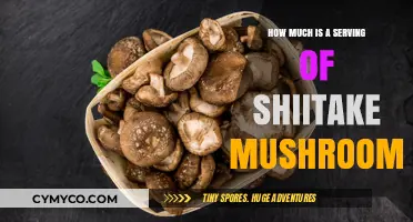 Exploring the Perfect Portion: A Guide to Shiitake Mushroom Servings