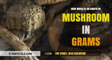 Understanding Mushroom Measurements: How Much is an Eighth in Grams?