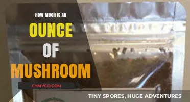How Much Does an Ounce of Mushrooms Cost? A Guide