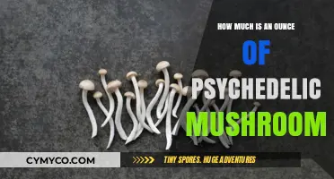 Exploring the Cost of an Ounce of Psychedelic Mushrooms