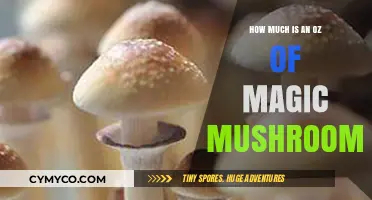Exploring the Cost of an Ounce of Magic Mushrooms