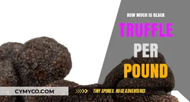 Decoding the Cost: How Much Is Black Truffle Per Pound?