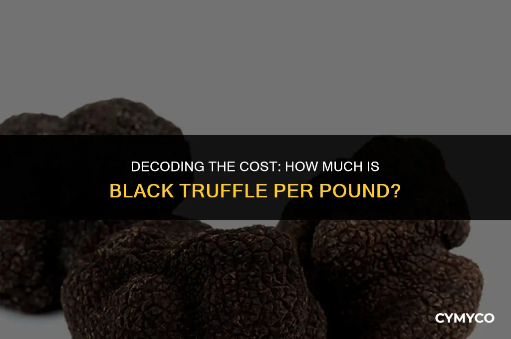 how much is black truffle per pound