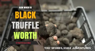 Unveiling the Luxury: The Worth of Black Truffles Explored