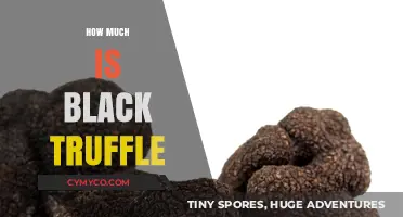 Decoding the Luxury: The Cost of Black Truffles Explained