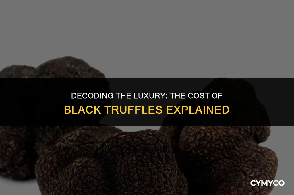 how much is black truffle