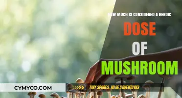 Heroic Dose of Mushrooms: Understanding the Threshold and Risks