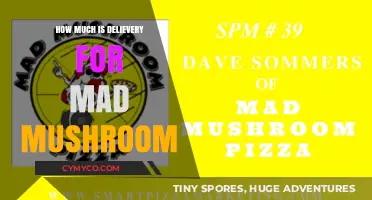 Mad Mushroom Delivery Costs: What to Expect for Your Order
