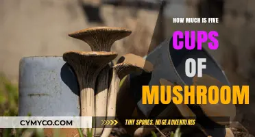 Measuring Mushrooms: Understanding the Weight of Five Cups in Recipes
