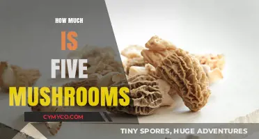 The Cost of Five Mushrooms: A Pricing Guide for Buyers
