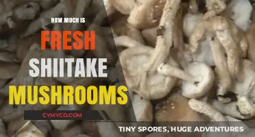 Fresh Shiitake Mushrooms: Pricing, Benefits, and Buying Tips Revealed