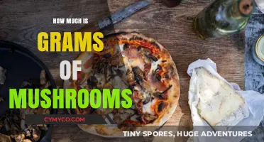 Understanding Mushroom Dosage: How Much Are Grams of Mushrooms?
