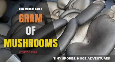 Understanding Half a Gram of Mushrooms: Dosage, Effects, and Safety Tips