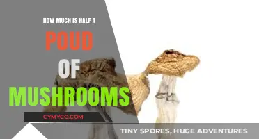Half a Pound of Mushrooms: Cost, Measurement, and Cooking Tips