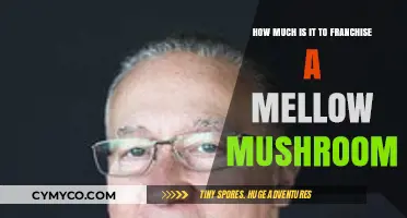 Cost to Franchise a Mellow Mushroom: Investment Breakdown and Fees