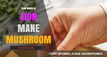 Lion's Mane Mushroom Price Guide: Cost, Value, and Benefits Explained