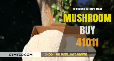 Lion's Mane Mushroom Price Guide: How Much to Buy in 41011