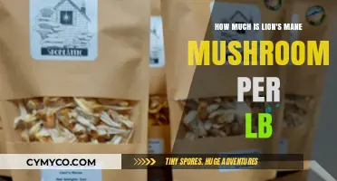 Lion's Mane Mushroom Price Guide: Cost per Pound Revealed