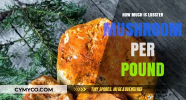Savoring Luxury: The Cost of Lobster Mushrooms per Pound