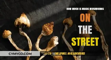 Exploring the Underground Market: Magic Mushrooms' Street Value Unveiled