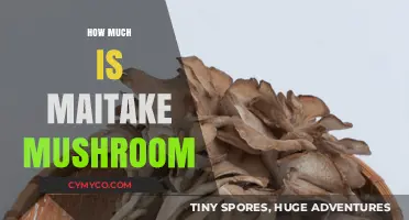 Exploring the Cost of Maitake Mushrooms: A Comprehensive Guide