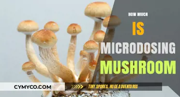 Exploring the Cost of Microdosing Mushrooms: A Comprehensive Guide