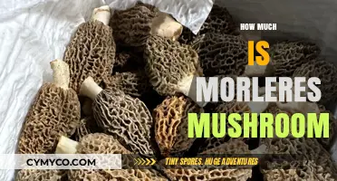 Exploring the Cost of Morel Mushrooms: A Comprehensive Guide