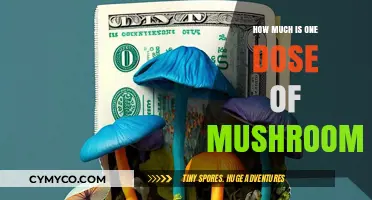 Exploring the Cost of a Single Dose of Mushrooms: A Comprehensive Guide