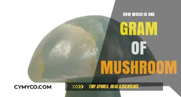 Exploring the Cost: How Much Is One Gram of Mushroom?