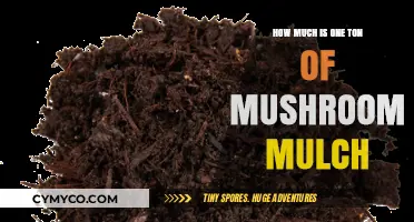 Exploring the Cost: A Ton of Mushroom Mulch Breakdown
