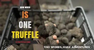 Decoding the Cost of Culinary Luxury: How Much Is One Truffle?