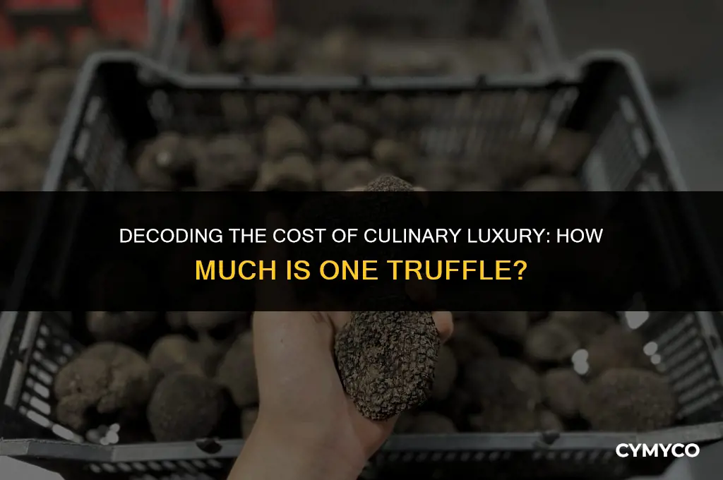 how much is one truffle